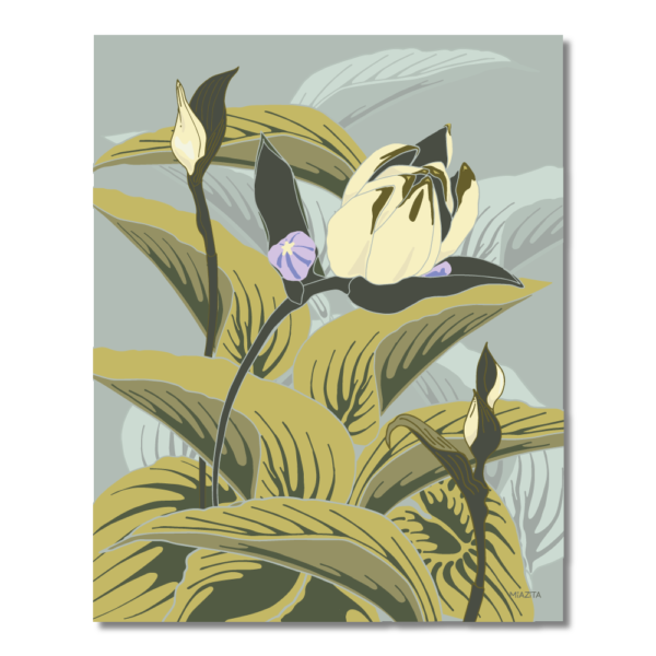 illustration of budding hosta muted green, violet on soft green-blue background