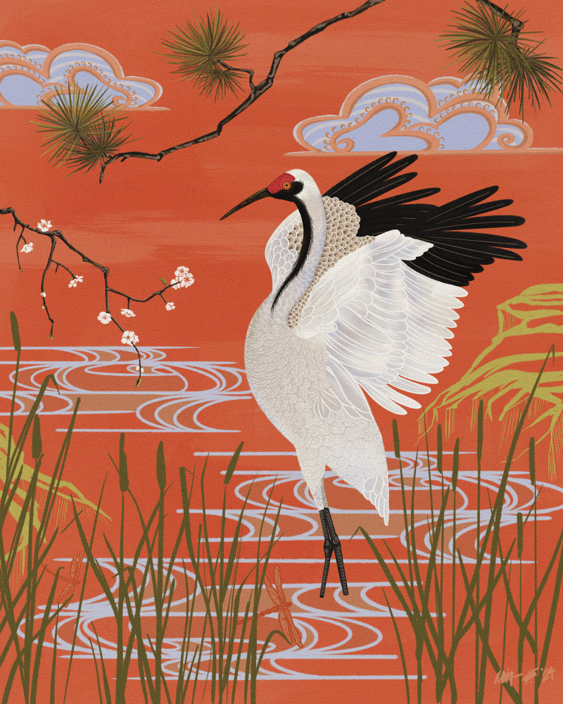 Illustration of Japanese Crane standing in still water. Stylized and detailed white crane with black and red markings set in the marshes. Clouds, water and reeds are stylized. Cherry blossom and pine branches in the frame are more detailed.
