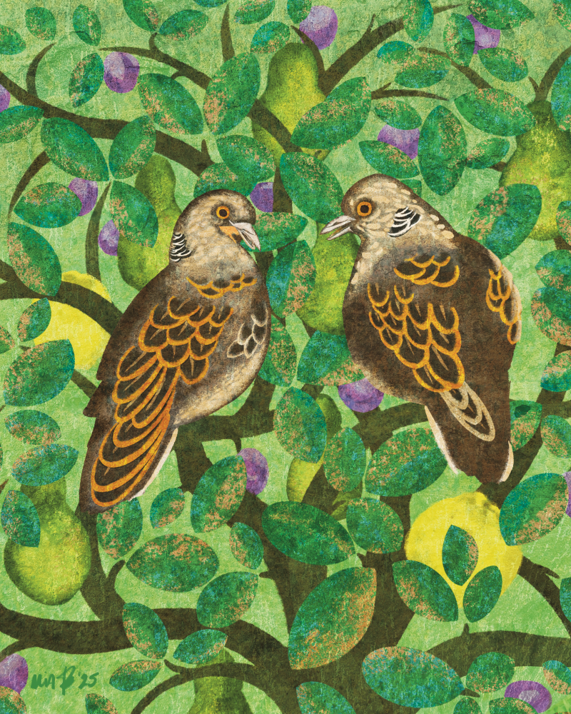 Illustration of two Turtle doves in a leafy plum and quince fruit tree represented in an analogous color scheme of greens, fresh yellows, shades of orange, teal and gold.